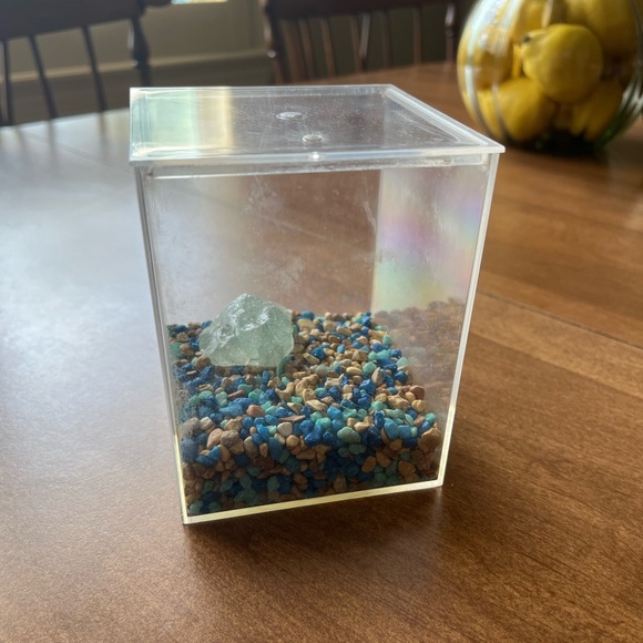 Frog Habitat - Picture 4 of 9